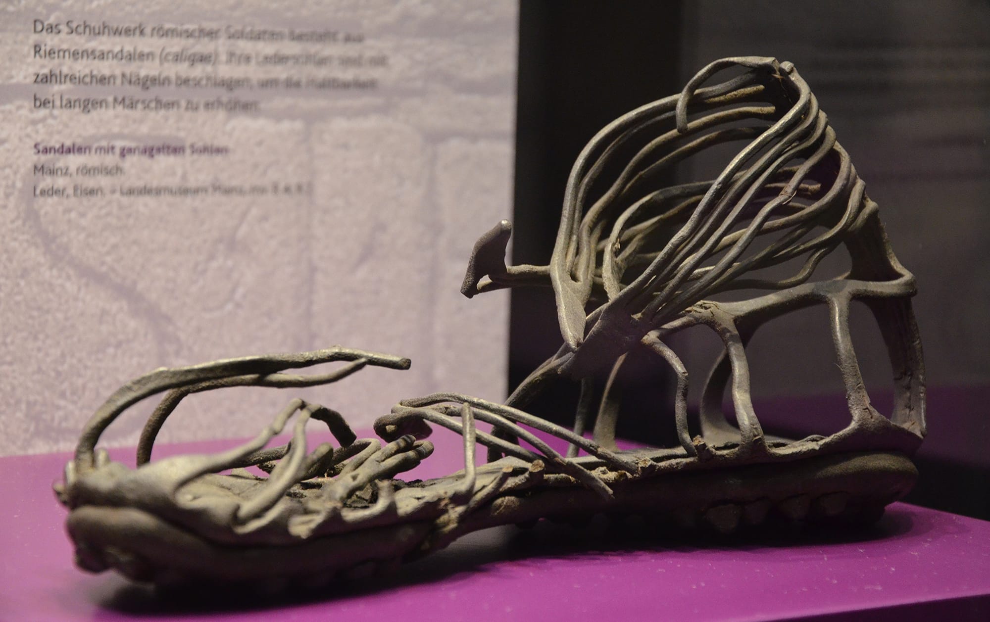 A Roman caliga, a hobnailed military sandal, displayed in a museum